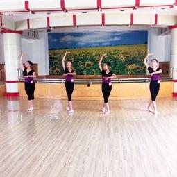 中国舞蹈九级考级视频,舞动青春，展现风采