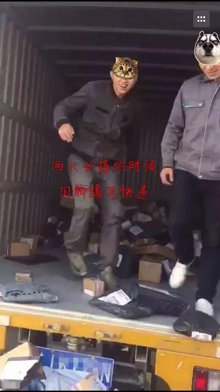 运快递视频,运递过程全记录