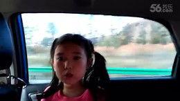 夜莺视频,探寻神秘鸟儿的生活轨迹