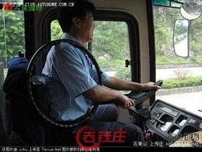 摸鸟女视频,揭秘摸鸟女视频背后的生态奥秘