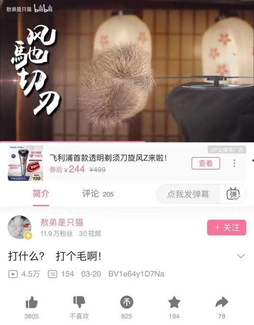 牌枝视频,揭秘牌技奥秘，带你领略牌桌魅力