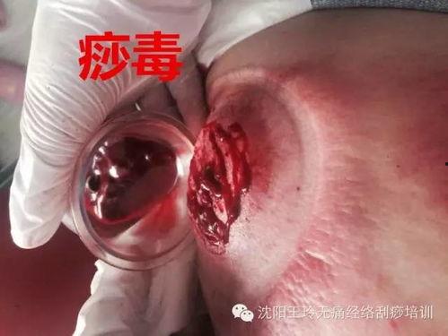 脚长卵视频,探寻神秘生物的奥秘