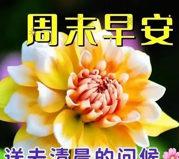 周末早上好问候视频,温馨问候，开启美好周末时光