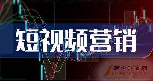 短视频题材,捕捉生活瞬间，展现多彩人生